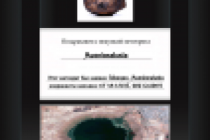 Подарочный сертификат