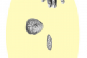 Растровый рисунок на граф планшете