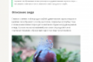 Статья на сайте о птицах