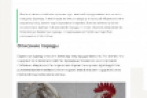 Статья на сайте о птицах