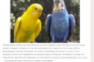 Статья на сайте о животных