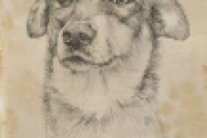 Работа 2587481