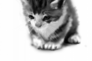 Работа 1543953