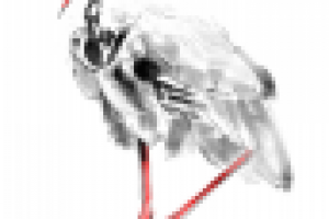 Работа 1543830