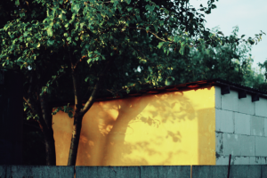 Работа 3830843