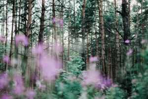 Работа 3830827