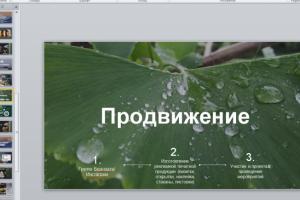 Разработка "работающих"  презентаций