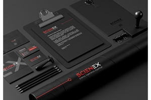 Фирменный стиль компании «SCIENEX»