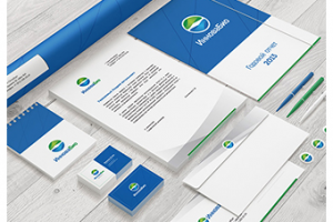 Логотип и фирменный стиль «Инновабио»