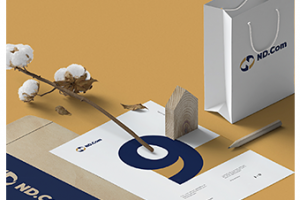 Логотип и фирменный стиль «ND»