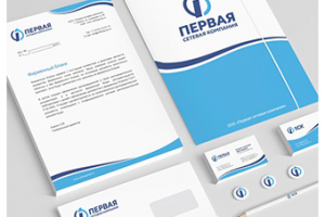 Логотип и фирменный стиль «Первая сетевая компания»