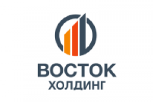Восток Холдинг