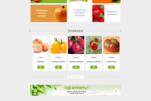 psd to wp+woo (sadoviysvit)