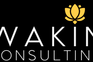 Логотип для портала Awaking-Consulting