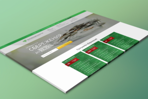 Разработка landing page для пенсионного фонда