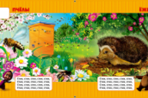 Разворот из книжки "Лесные домишки"