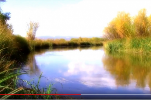 Морозов. Производство. ТВ реклама