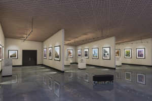 Работа 3844577