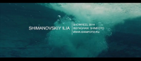 SHIMANOVSKIY ILIA SHOWREEL 2014