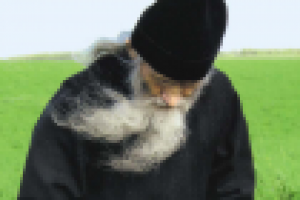 Книга, сборник стихов