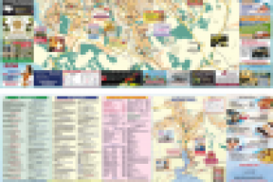 Карта-схема