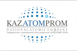 Разработка дизайна логотипа нацкомпании