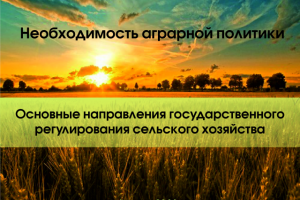 Дизайн обложки презентации