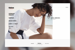 KALINA-женская одежда – интернет магазин