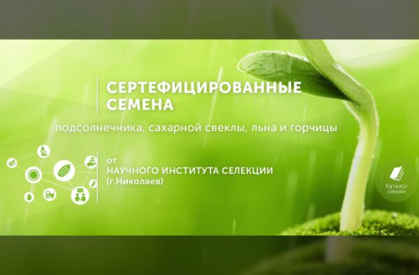 img3814689.png