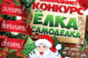 Poster Elka Samodelka