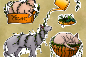 Набор стикеров