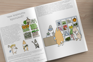 Иллюстрация к статье