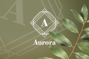 Работа 3679383