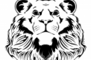 Работа 2739832