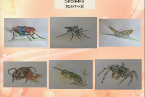 Работа 3134612