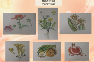 Работа 3134611