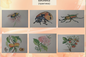 Работа 3134610