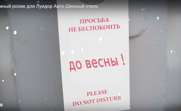 img3833418.png