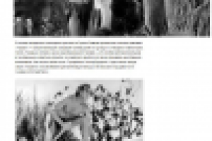 О Тарзане и тарзанках