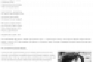 "И в плен не брали черногорца" - статья для туристического сайта