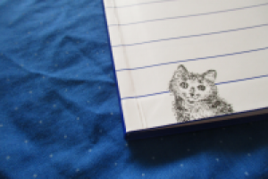 Верстка и иллюстрации