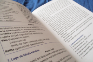 Верстка и иллюстрации