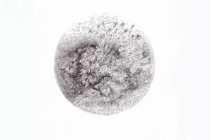 Работа 3773815