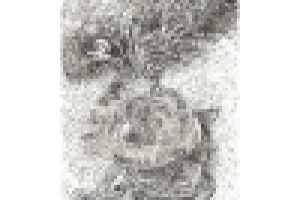 Работа 2736112