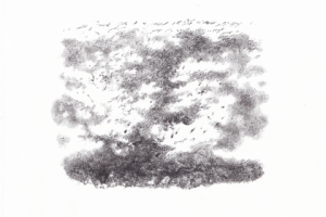 Работа 3773813