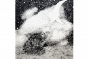 Работа 2870428