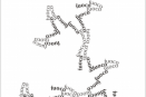 типографика