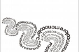 типографика