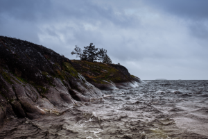 Работа 3837147