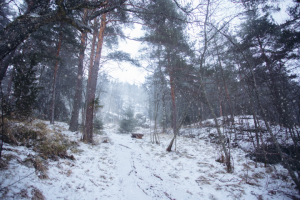 Работа 3837142